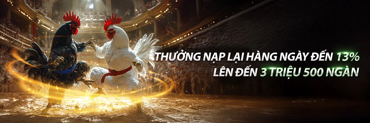 Chương Trình Thành Viên VIP ibet888 nhà cái 2026