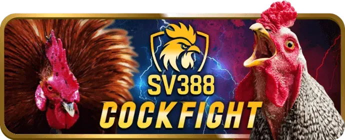 Giao diện ứng dụng ibet888 nhà cái trên điện thoại